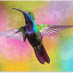 Graphic Message - Schilderij Print op Canvas - Kolibrie Vogel - Woonkamer - Kleurrijk