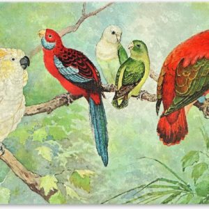 Graphic Message - Schilderij Print op Canvas - Vogels - Papegaaien - Woonkamer