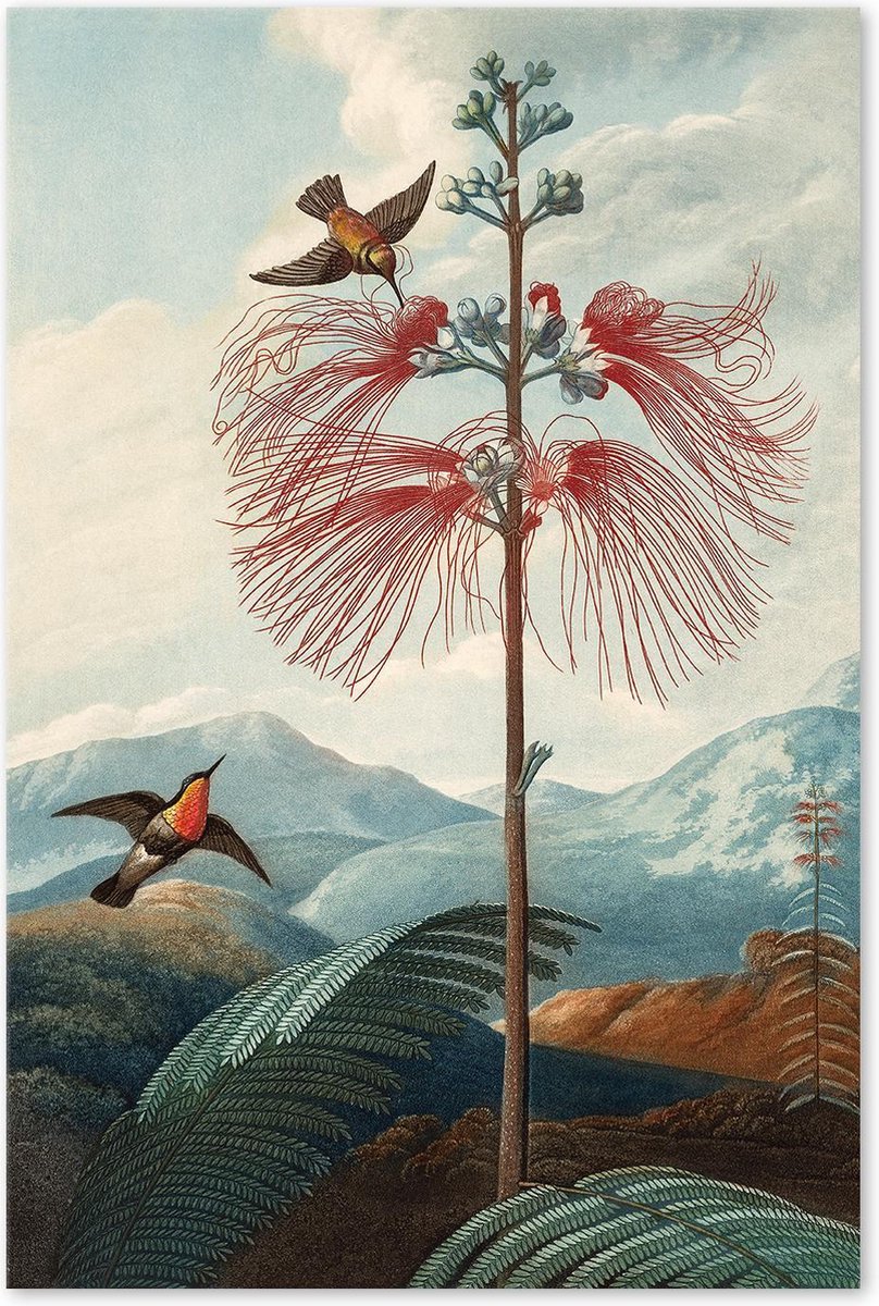Graphic Message - Schilderij op Canvas - Bloeiende Plant met Vogels - Thornton - Botanisch