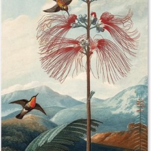 Graphic Message - Schilderij op Canvas - Bloeiende Plant met Vogels - Thornton - Woonkamer