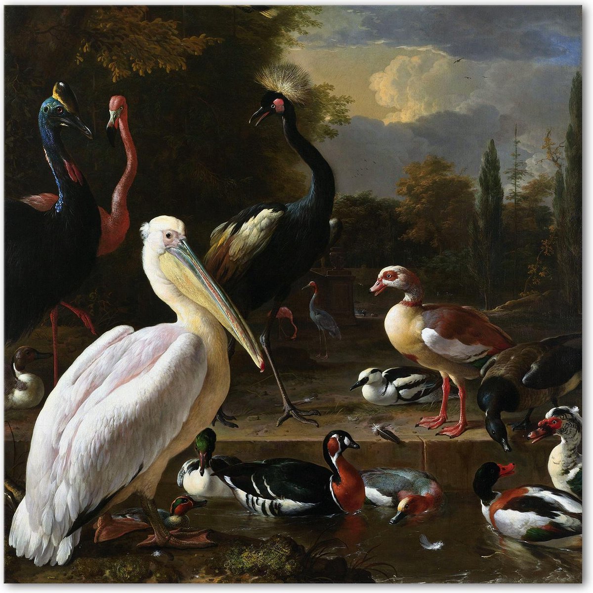 Graphic Message - Schilderij op Canvas - Pelikaan en andere Vogels - d' Hondecoeter - Vogel- Kunst