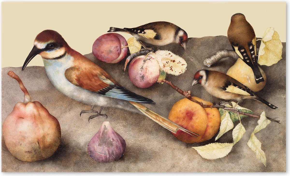 Graphic Message - Schilderij op Canvas - Vogels en Fruit - Jacopo Ligozzi - Bastin Vogel - Kunst