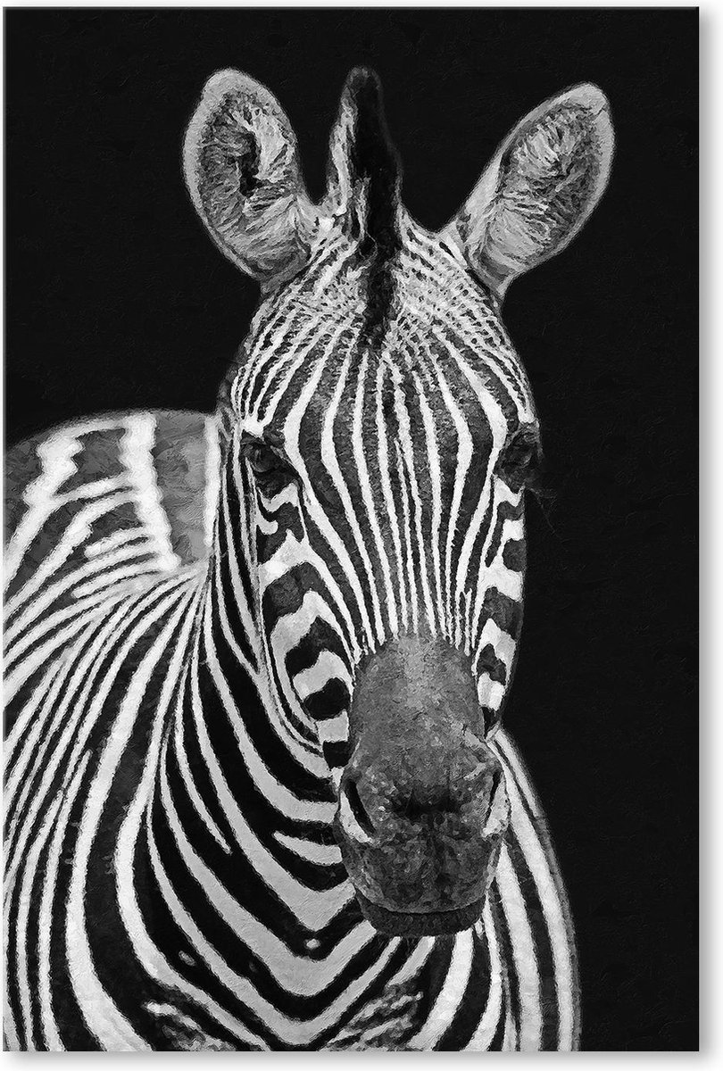 Graphic Message - Schilderij op Canvas - Zebra - Schilderachtig - Zwart Wit - Woonkamer