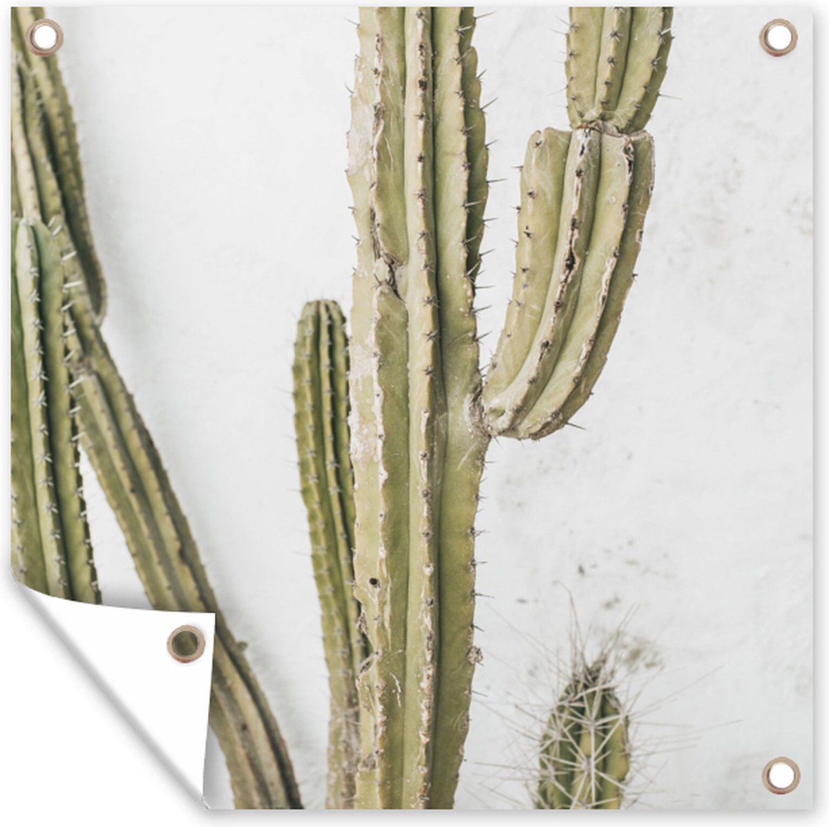 GreatGardenPosters - Tuindoek - Zomer - Cactus - Planten - Tropisch - Tuin - 200x200 cm - Tuinposter - Tuinschilderij - Muurdecoratie - Wanddecoratie