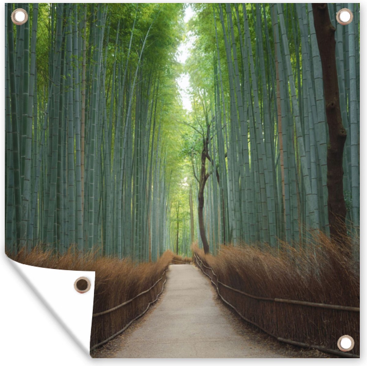 GreatGardenPosters - Tuinposter bos - Bamboe - Tuin - Pad - 200x200 cm - Tuindoek - Muurdecoratie - Wanddecoratie