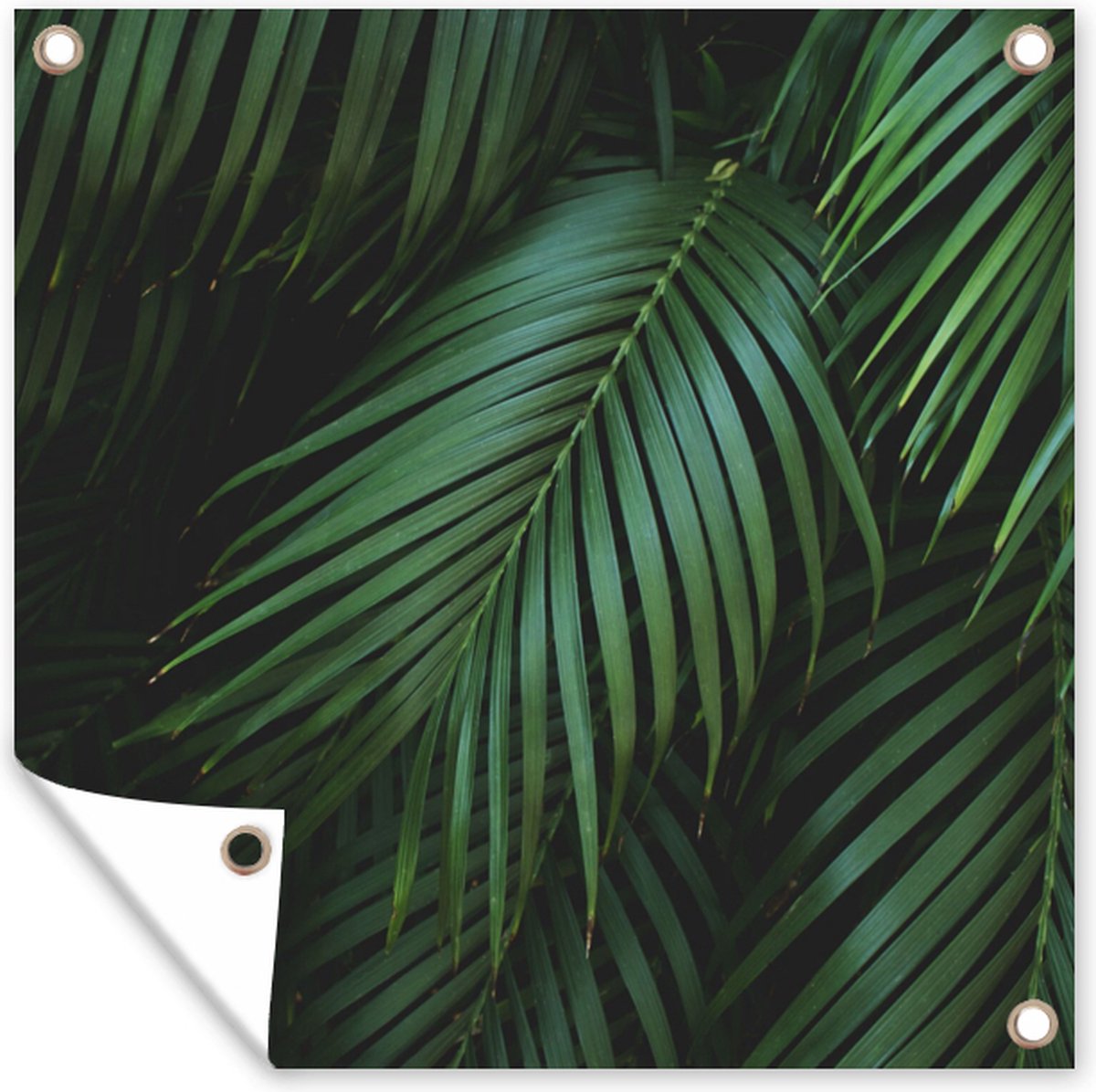 Tuinposter - Palmbladeren - Bladeren - Tropical - Donker - 200x200 cm - Tuindecoratie - Tuindoek