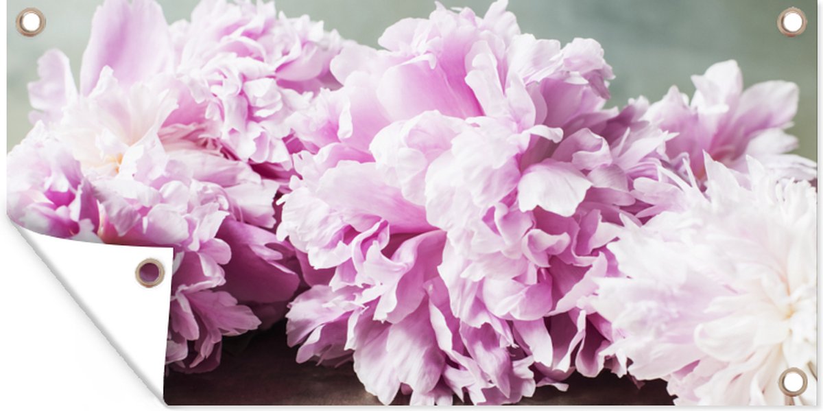 Tuinposter bloemen - Pioenroos - Roze - Botanisch - Tuindoek - Tuinschilderij voor buiten - Schuttingdoek - Schutting decoratie - 200x100 cm - Tuinposters buiten - Tuindoeken voor buiten