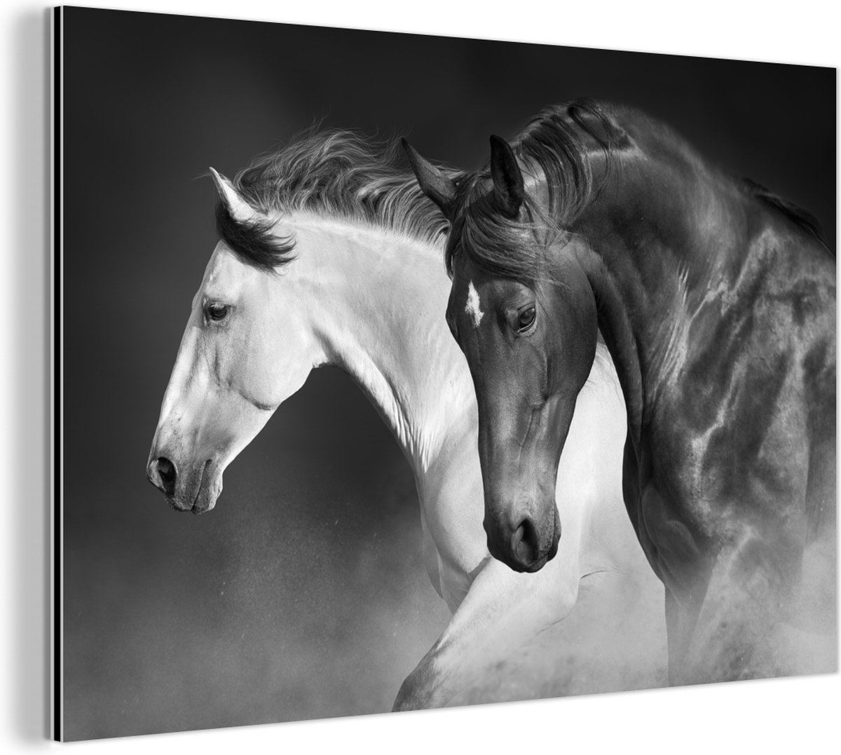 Wanddecoratie Metaal - Aluminium Schilderij Industrieel - Paarden - Dieren - Zwart - Wit - Portret - 90x60 cm - Dibond - Foto op aluminium - Industriële muurdecoratie - Voor de woonkamer/slaapkamer