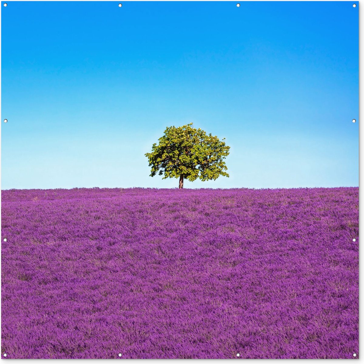 Tuinposter - Bloemen - Lavendel - Blauw - Paars - Boom - 200x200 cm - Tuindoek - Tuin - Muurdecoratie - Wanddecoratie