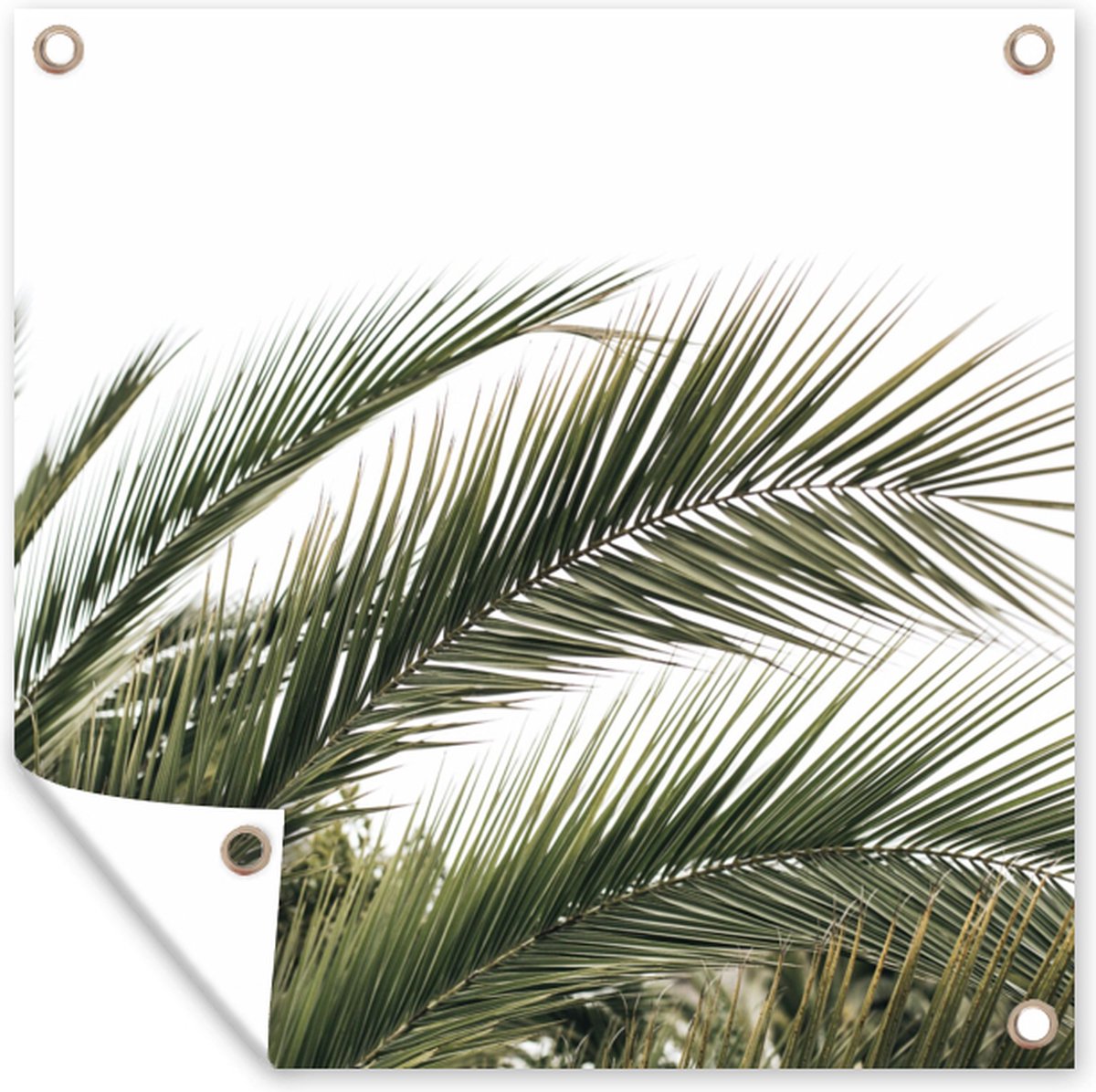 GreatGardenPosters - Tuindecoratie - Bladeren - Palmboom - Natuur - Zomer - 200x200 cm - Tuinposter - Muurdecoratie - Wanddecoratie - Tuindoek - Buitenposter